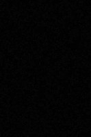 Прямоугольный ковер SHAGGY ULTRA S600 BLACK