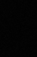Прямоугольный ковер COMFORT SHAGGY S600 BLACK